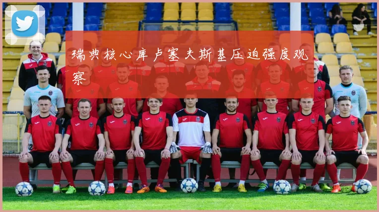 瑞典核心库卢塞夫斯基压迫强度观察