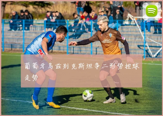 葡萄牙乌兹别克斯坦争二形势控球走势