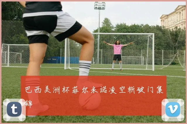 巴西美洲杯菲尔米诺凌空斩破门集锦